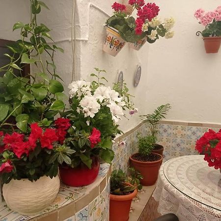 Casa Tipica De Pueblo Andaluz Βίλα Villanueva de San Juan Εξωτερικό φωτογραφία