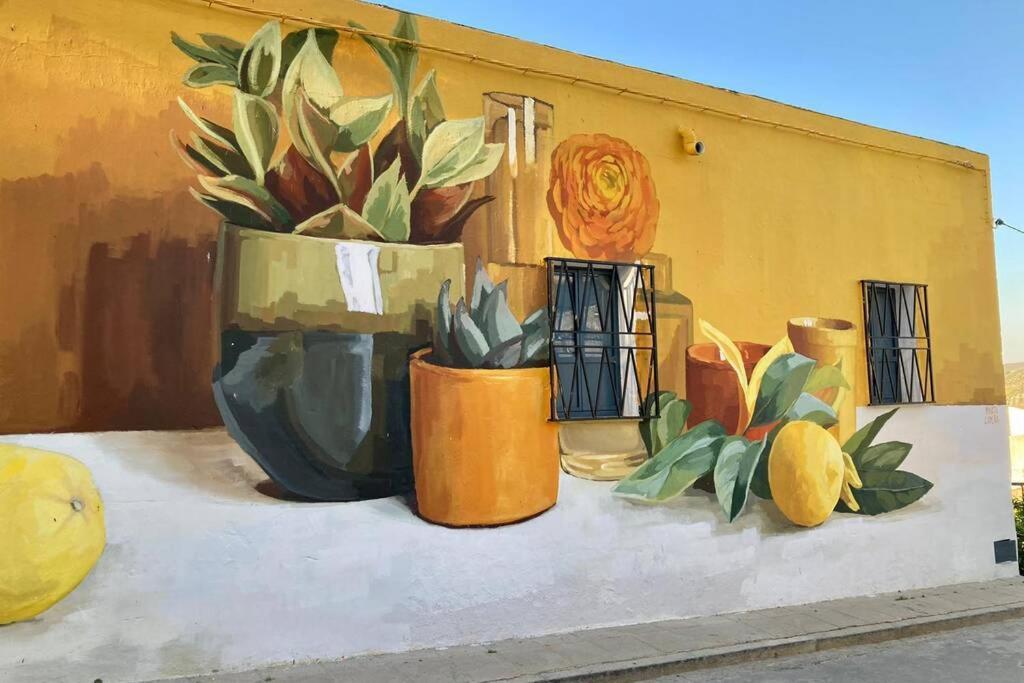 Casa Tipica De Pueblo Andaluz Βίλα Villanueva de San Juan Εξωτερικό φωτογραφία