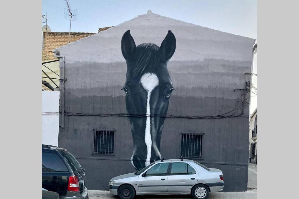 Casa Tipica De Pueblo Andaluz Βίλα Villanueva de San Juan Εξωτερικό φωτογραφία