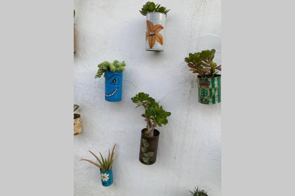 Casa Tipica De Pueblo Andaluz Βίλα Villanueva de San Juan Εξωτερικό φωτογραφία