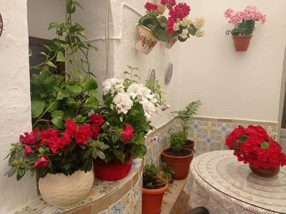 Casa Tipica De Pueblo Andaluz Βίλα Villanueva de San Juan Εξωτερικό φωτογραφία
