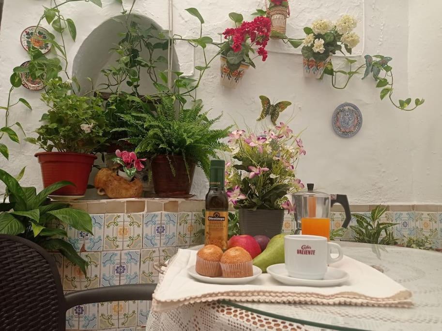 Casa Tipica De Pueblo Andaluz Βίλα Villanueva de San Juan Εξωτερικό φωτογραφία